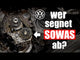 Engine overhaul / replacement engine Audi A4 A5 Q5 2.0 TDI (CR) - CSUA repair